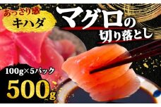 【 訳あり 】 キハダマグロ 切り落とし 500g（ 100g 5パック ） キハダ マグロ サイズ 不揃い TY062