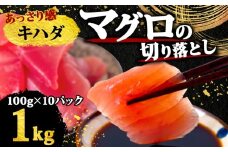 【 訳あり 】 キハダマグロ 切り落とし 1kg（ 100g 10パック ） キハダ マグロ サイズ 不揃い TY063