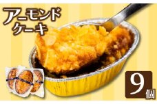 アーモンドケーキ 9個 お菓子 スイーツ デザート ケーキ 甘い 高知 須崎 LF023