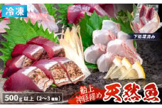 船上 神経締め 天然 鮮魚 詰め合わせ 朝獲れ直送 下処理済み 2~3種入り 500g以上 （2025年11月出荷） 冷凍 刺身 魚種お任せ 水揚げ 海鮮 魚介 産地直送 新鮮 魚 鮮魚ボックス