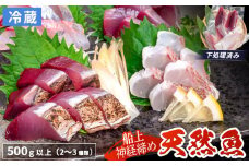 船上 神経締め 天然 鮮魚 詰め合わせ 朝獲れ直送 下処理済み 2~3種入り 500g以上 （2025年10月出荷） 冷蔵 刺身 魚種お任せ 水揚げ 海鮮 魚介 産地直送 新鮮 魚 鮮魚ボックス