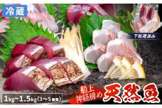 船上 神経締め 天然 鮮魚 詰め合わせ 朝獲れ直送 下処理済み 3~5種入り 1kg～1.5kg （2025年10月出荷） 冷蔵 刺身 魚種お任せ 水揚げ 海鮮 魚介 産地直送 新鮮 魚 鮮魚ボックス