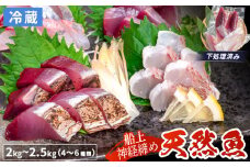 船上 神経締め 天然 鮮魚 詰め合わせ 朝獲れ直送 下処理済み 4~6種入り 2kg～2.5kg （2025年11月出荷） 冷蔵 魚種お任せ 水揚げ 海鮮 魚介 産地直送 新鮮 魚 鮮魚ボックス