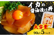 イカ 醤油 漬け丼 5パック セット  烏賊 90g × 5パック 高知県 須崎市 TY059