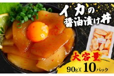 イカ 醤油 漬け丼 10パック セット  烏賊 90g × 10パック 高知県 須崎市 TY060