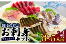 朝どれ地魚 ３～４種類 3～5人前 お刺身 セット 生すり身付き YS002_x