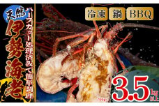 ハーフカット伊勢海老  6ピース2.1kg以上 冷凍 ( 特大サイズ 急速冷凍 えび エビ 高級 鮮魚 海鮮 魚介 刺身 焼き物 汁物 ギフト 贈答 贈り物 祝い 歳暮 中元 年末 年始 早期 予約 ) IKY082_x