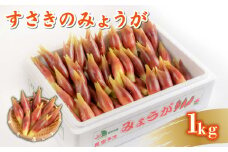 秀品 すさきのみょうが 1kg 生産量日本一 産地直送 かつおのたたき 薬味 高知県 高知 須崎 須崎市 すさき みょうが 茗荷 かつおたたき 藁焼き鰹  ぽん酢 玉ねぎ ねぎ しょうが 甘酢漬け 酢の物 味噌汁 冷や汁 そうめん 漬物 冷奴 寿司 うどん 天ぷら JA001