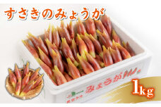 秀品A等級 すさきのみょうが 1kg 生産量日本一 産地直送 かつおのたたき 薬味 高知県 高知 須崎 須崎市 すさき みょうが 茗荷 かつおたたき 藁焼き鰹  カツオ タタキ 鰹 ぽん酢 玉ねぎ ねぎ しょうが 甘酢漬け 酢の物 味噌汁 冷や汁 そうめん 漬物 冷奴 寿司 うどん 天ぷら JA001
