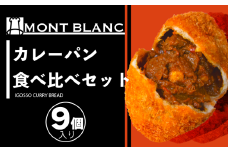 カレーパン食べ比べセット (いごっそう シェフ チーズ) 9個 パン 職人 手作り 朝食 朝ご飯 モーニング おやつ ベーカリー チーズ 人気 詰め合わせ 家族向け おいしい 冷凍 カレー 個包装  ご当地 ふるさと納税パン ふるさと納税 高知県 須崎市