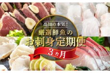 刺身 定期便 3ヶ月 お好きなお魚が選べる！ 小島水産 産地直送 3回 新鮮 かつおタタキ 真鯛 ブリ 刺身 乙女鯛 乙女ブリ 藁焼き かつお タタキ タイ 鯛 たい 鰤 鰹 かつおのたたき タタキ カツオ 海鮮 鮮魚 魚 お刺身 高知県 須崎市 KS29000-x