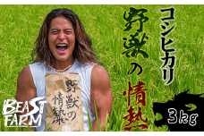 【令和7年産 新米早期予約】 コシヒカリ 3kg 8月下旬から発送 厳選 高知県産 新米 産地直送 米 お米 白米 精米 ごはん コシヒカリ ご飯 井上農園 高知県 須崎市 INN001