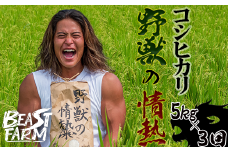 【令和7年産 新米早期予約】 コシヒカリ 5kg x 3回 8月下旬から発送 厳選 高知県産 新米 産地直送 米 お米 白米 精米 ごはん コシヒカリ ご飯 井上農園 高知県 須崎市 INN4000