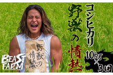 【令和7年産 新米早期予約】 コシヒカリ 10kg x 3回 8月下旬から発送 厳選 高知県産 新米 産地直送 米 お米 白米 精米 ごはん コシヒカリ ご飯 井上農園 高知県 須崎市 INN7000