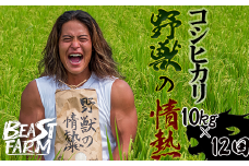 【令和7年産 新米早期予約】 コシヒカリ 10kg x 12回 8月下旬から発送 厳選 高知県産 新米 産地直送 米 お米 白米 精米 ごはん コシヒカリ ご飯 井上農園 高知県 須崎市 INN9000