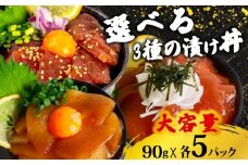 選べる 醤油 漬け丼 90g×各5パック キハダマグロ カジキマグロ イカ 切り身 特製 漬け丼 丼 簡単調理 海鮮 魚介 惣菜 冷凍 小分け 大容量 TY071