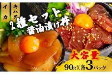 2種 醤油 漬け丼 90g×各3パック キハダマグロ イカ 切り身 特製 漬け丼 丼 簡単調理 海鮮 魚介 惣菜 冷凍 小分け 大容量 TY073