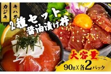 2種 醤油 漬け丼 90g×各2パック キハダマグロ カジキマグロ 切り身 特製 漬け丼 丼 簡単調理 海鮮 魚介 惣菜 冷凍 小分け 大容量 TY075