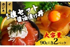 2種 醤油 漬け丼 90g×各2パック カジキマグロ イカ 切り身 特製 漬け丼 丼 簡単調理 海鮮 魚介 惣菜 冷凍 小分け 大容量 TY078