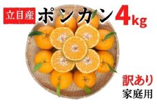【早期予約 2026年1月中旬より順次発送】訳あり ぽんかん 4kg 家庭用 大小混合 不揃い 規格外 わけあり 高知県産 立目産 果物 フルーツ 柑橘 みかん 低農薬 高知県 須崎市