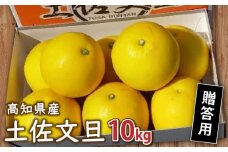 秀品 土佐文旦 10kg 2026年2月より発送 贈答用 高知県産 柑橘 フルーツ 文旦 ぶんたん ブンタン 果物 みかん ギフト 蜜柑 柑橘 産地直送 期間限定 季節限定  高知県 須崎 MN0011-x