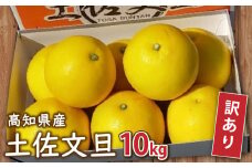 訳あり 土佐文旦 10kg 2026年2月より発送 高知県産 柑橘 フルーツ 文旦 ぶんたん ブンタン 果物 みかん 蜜柑 柑橘 産地直送 期間限定 季節限定 訳あり品 高知県 須崎市 MN0021-x