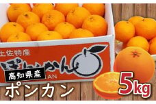 訳あり 家庭用 ポンカン 5kg 2026年1月より発送 早期予約 産地直送 浦ノ内産 ぽんかん みかん 蜜柑 柑橘 訳あり品 高知県 須崎市 MN0031-x
