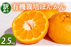 【早期予約 2026年2月上旬より順次発送】 訳あり ぽんかん 2.5kg サイズ混合 オーガニック 無農薬 防腐剤 不使用 有機 JAS認定 柑橘 みかん 蜜柑 家庭用 TJ0011
