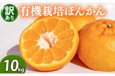 【早期予約 2026年2月上旬より順次発送】 訳あり ぽんかん 10kg サイズ混合 オーガニック 無農薬 防腐剤 不使用 有機 JAS認定 柑橘 みかん 蜜柑 家庭用 TJ010