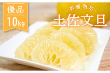 【2026年2月より順次発送】 土佐文旦 10kg 優品 柑橘 みかん フルーツ 北川果樹園 KG005