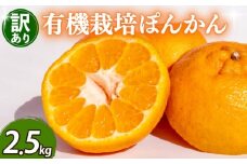 【早期予約 2026年2月上旬より順次発送】 訳あり ぽんかん 2.5kg サイズ混合 オーガニック 無農薬 防腐剤 不使用 有機 JAS認定 柑橘 みかん 蜜柑 家庭用 TJ0011