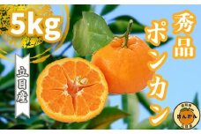 【早期予約開始】 2026年1月中旬より順次発送 ポンカン 立目 秀品 贈答用 5kg サイズ混合 冬 フルーツ 果物 立目産 ブランド 柑橘 2026年 収穫分 蜜柑 みかん ギフト 贈答 プレゼント 高知県 須崎市 TMS002