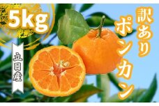 【 早期予約受付開始 】 2026年1月中旬より順次発送 立目産 ポンカン 訳あり 5kg 2026年 収穫分 家庭用 みかん 高知 須崎 TMS001