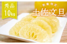【2026年2月より順次発送】 土佐文旦 秀品 10kg 高知県産 柑橘 フルーツ 文旦 ぶんたん ブンタン 果物 産地直送 高知県 須崎 KG001