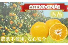 【早期予約受付開始】 2026年1月下旬発送 ポンカン 贈答用 5kg 無農薬 ブランド サイズ混合 家庭用 立目産ぽんかん 柑橘 高知県 須崎市