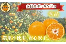 【 早期予約開始 】ポンカン 2026年1月下旬 発送 秀品 贈答用 5kg 無農薬 ブランド サイズ混合 家庭用 立目産ぽんかん 柑橘 高知県 須崎市