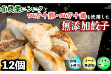 有機 葉 ニンニク と 四万十豚 で作った 最高級 餃子 （ 6個入り x 2パック ）ぎょうざ ギョウザ にんにく 高知 野菜 EA0271