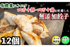 有機 葉 ニンニク と 四万十豚 で作った 最高級 餃子 （ 6個入り x 2パック ）ぎょうざ ギョウザ にんにく 高知 野菜 EA0271