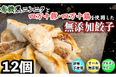 有機 黒 ニンニク と 四万十 豚 で作った 最高級 餃子 （ 6個入り x  2パック ）ぎょうざ ギョウザ にんにく 高知 野菜