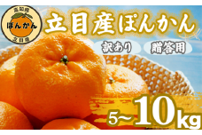【 早期予約受付開始 】 立目産 ポンカン 5kg 訳あり 2026年1月 下旬より順次発送 2026年 収穫分 家庭用 みかん 高知 須崎 KHN001
