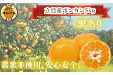 【 早期予約開始 】 ポンカン 訳あり 5kg 2026年 1月下旬より順次発送 収穫分 無農薬 ブランド サイズ混合 家庭用 立目産ぽんかん 柑橘 みかん 高知県 須崎市 MO004
