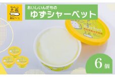 ゆずシャーベット  6個 セット 高知県産 ゆず 爽やか 甘酸っぱい 高知アイス おいしいんだもの ご当地アイス 香り アイスクリーム アイス  スイーツ デザート おやつ 冷蔵 高知県 須崎市 ICE001