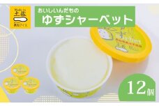 ゆずシャーベット  12個 セット 高知県産 ゆず 爽やか 甘酸っぱい 高知アイス おいしいんだもの ご当地アイス 香り アイスクリーム アイス  スイーツ デザート おやつ 冷蔵 高知県 須崎市 ICE002