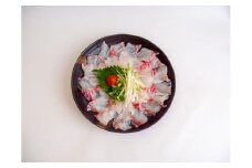 タイ しゃぶしゃぶ タイしゃぶ スライス 15切れ 30切れ 45切れ  新鮮 国産 鰤 210 ～ 630g 以上 たい セット 冷凍 しゃぶ 鯛 お鍋 年末 年始 大晦日 正月 高知県 須崎市 高知 YI006