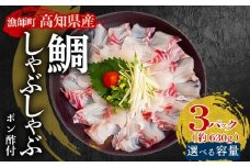 タイ しゃぶしゃぶ タイしゃぶ スライス 15切れ 30切れ 45切れ  新鮮 国産 鰤 210 ～ 630g 以上 たい セット 冷凍 しゃぶ 鯛 お鍋 年末 年始 大晦日 正月 高知県 須崎市 高知 YI006