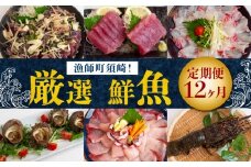 12ヶ月 定期便 刺身 鮮魚 12回 定期便 新鮮 国産 （ 伊勢海老 ブリ かつお たたき キハダ マグロ タイ シマアジ ヒラメ 貝 セット） イセエビ 鯵 長太郎 サザエ  鰹 鯛 鮪 セット 冷凍 冷蔵 しゃぶ 鯛 お鍋 海鮮 年末 年始 大晦日 正月 高知県 須崎市 高知 YI3000
