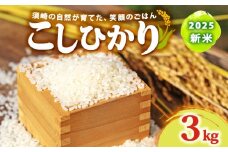 2025 新米 コシヒカリ 3kg 産地直送 新米 8月下旬 から 順次配送 高知県産 白米 精米 こしひかり 米 常温 配送 ブランド米 国産 米 人気 匠 高知県 須崎 SDM002