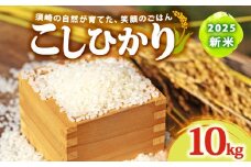 2025 新米 コシヒカリ 10kg 産地直送 新米 8月下旬 から 順次配送 高知県産 白米 精米 こしひかり 米 常温 配送 ブランド米 国産 米 人気 匠 高知県 須崎 SDM003