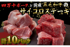 国産 黒毛和牛 A4ランク以上 サイコロステーキ と 四万十ポーク の サイコロステーキ 計10パック | 最上位等級 A4 A5 最高 ランク 贅沢 豚肉 ブランド豚 国産 牛肉 高知県 須崎市 TM056