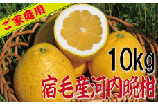 宿毛産河内晩柑家庭用10kg